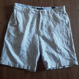 tahari short 34